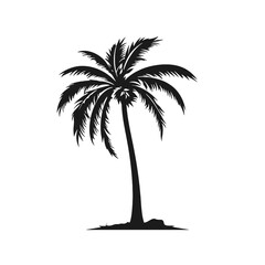 palm trees Silhouette 