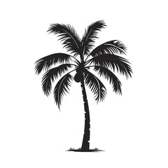 palm trees silhouettes