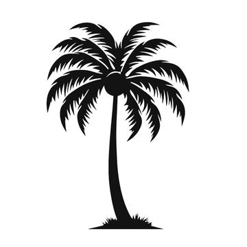 palm trees silhouettes