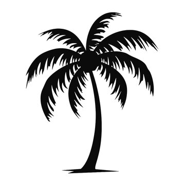 palm trees silhouettes