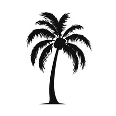 palm trees silhouettes