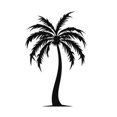 Obraz premium palm trees silhouettes