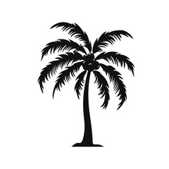 Fototapeta premium palm trees silhouettes