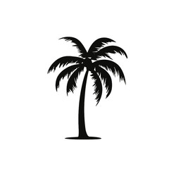 palm trees silhouettes