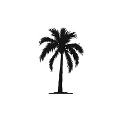 Obraz premium palm trees silhouettes