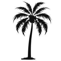 palm trees silhouettes