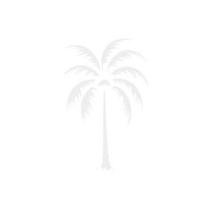 Fototapeta na wymiar palm trees silhouettes