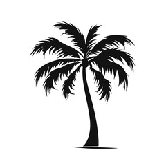 palm trees silhouettes