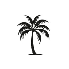 Obraz premium palm trees silhouettes