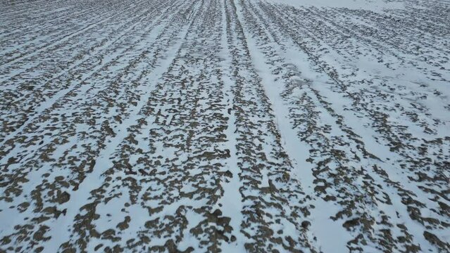snow on the field and furrows