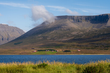 Scenic view of fjord and mountain, at Þingeyri (Thingeyri) in Westfjords, Iceland in summer