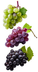 Grape varieties with transparent background PNG. Generative AI