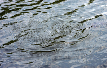 Swirls in moody waters