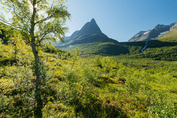Fototapeta premium Innerdalstarnet, Innerdalen, More og Romsdal, Norwegen