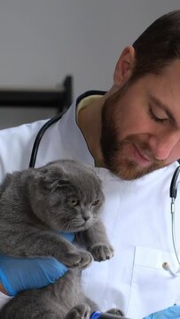 The vet smiles while holding a small to mediumsized gray cat in his arms
