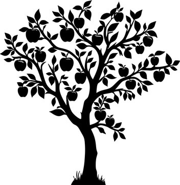 Silhouette apple tree with leaves