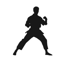 Fototapeta na wymiar karate player silhouette logo design