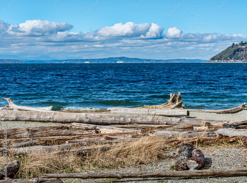 Poster Blue Water Landscape