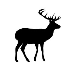 Obraz premium Set of deer silhouettes - vector illustration