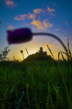 Torre caprona
