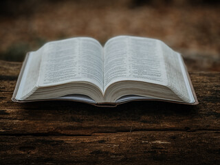 Obraz premium Open Bible 