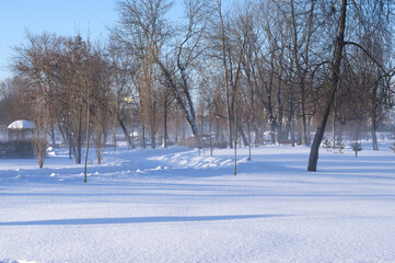 Clear frosty day. Winter frosty morning in the village