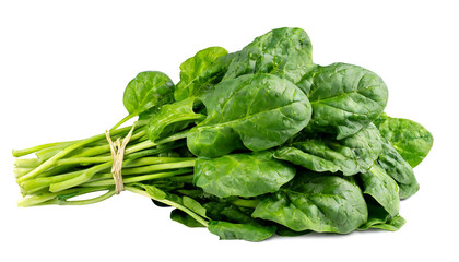 Fresh and vibrant spinach bundle for a healthy lifestyle