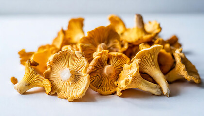 Delicious and fresh Chanterelle mushrooms. a culinary harvest in the forest