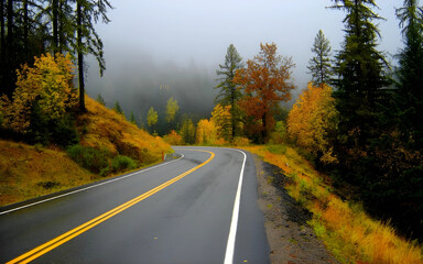 road in autumn forest