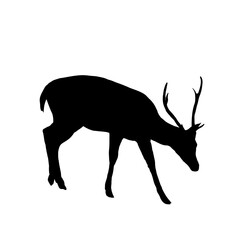  Set of deer silhouettes - vector illustration