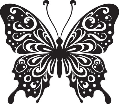 vector illustration of butterfly 
