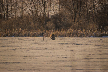 winter fishing on the river in the cold