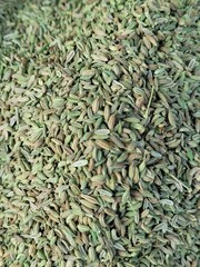dried Fennel isolated 