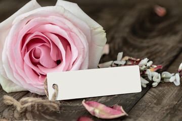 pink rose with card - 754475186