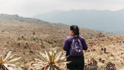 Woman with backpack facing vast mountainous terrain, immersed in nature