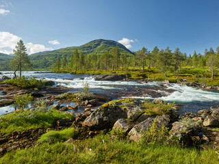 Fototapeta na wymiar Fluss Gaula, Gaularfjellet, Vestland, Norwegen