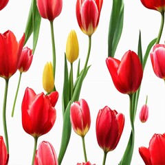 Fototapeta premium Red and yellow tulips on white background. Flat lay, top view. red and yellow tulips