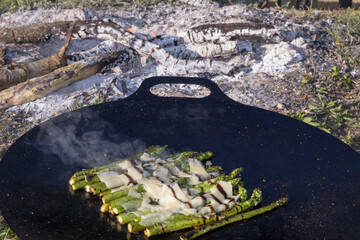 Grüner Spargel mit Parmesan , Balsamico, Meersalz und Pfeffer braten in der Pfanne am Lagerfeuer.
