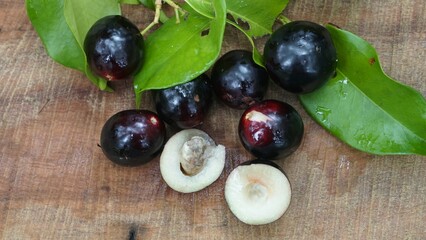 Ameixa-da-Mata, Eugenia candolleana DC., ou cereja-de-joinville, murta, murtinha.
Família das: Myrtaceaes
Endêmica do Brasil. 