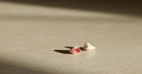 Close-up Pulled Out Baby Tooth with Blood. Lost Milk Teeth Lying on Table. 4K 10-bit