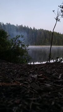 Video: Time lapse of the Idyllic Lake Helgasjön in the evening mood, fog veil and clouds wafting over the water of the lake, forest in the background in Helgö National Park, Växjö, Kronobergs län, Sma