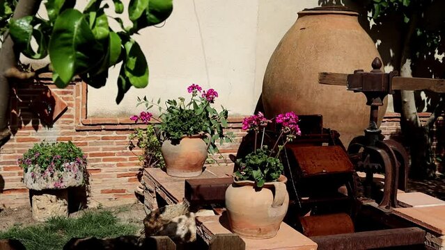 Noria o molino de agua antiguo en jard&iacute;n