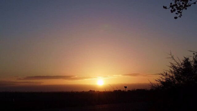 Almendros con tinajas al amanecer