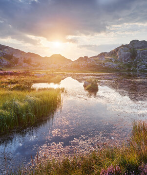 K&uuml;stenlandschaft, Eigeroya, Agder,  Norwegen