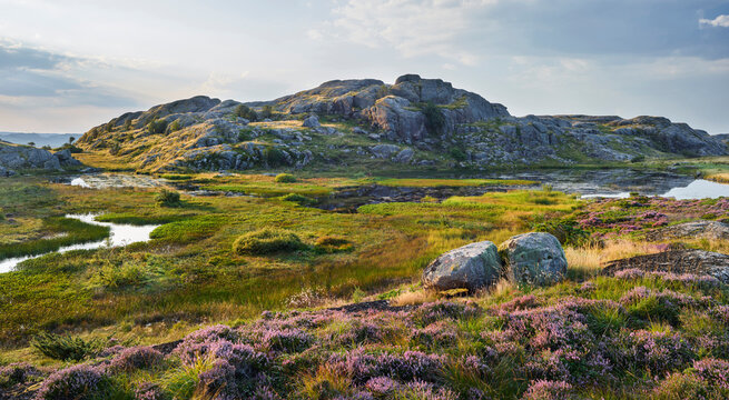 K&uuml;stenlandschaft, Eigeroya, Agder,  Norwegen