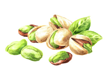 Pistachios. Watercolor hand drawn illustration, isolated on white background - 754494537