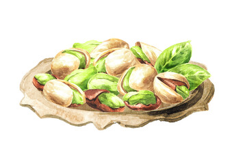 Plate with Pistachios. Watercolor hand drawn illustration isolated on white background
