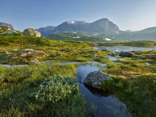Store Nup, Haukelifjell, Vestland, Norwegen