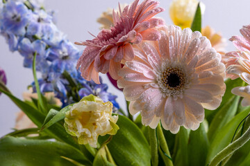 spring bouquet of flowers from gerbera tulips hyacinths