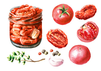 Canned  tomatoes set. Hand drawn watercolor illustration  isolated on white background